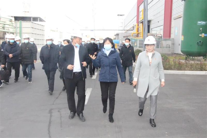 鞏義市“兩新”黨建觀摩團到明泰鋁業觀摩指導黨建工作